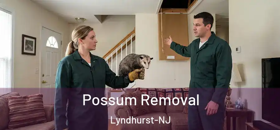  Possum Removal Lyndhurst-NJ