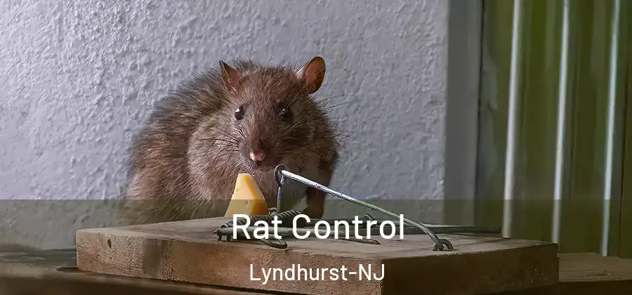 Rat Control Lyndhurst-NJ