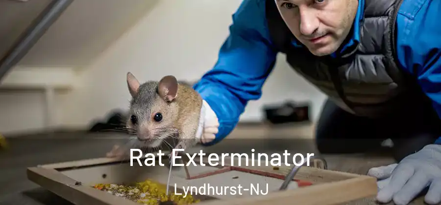 Rat Exterminator Lyndhurst-NJ