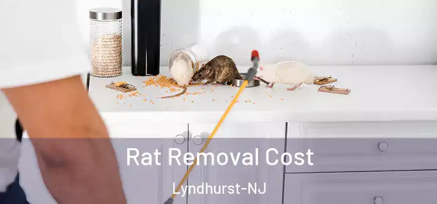 Rat Removal Cost Lyndhurst-NJ