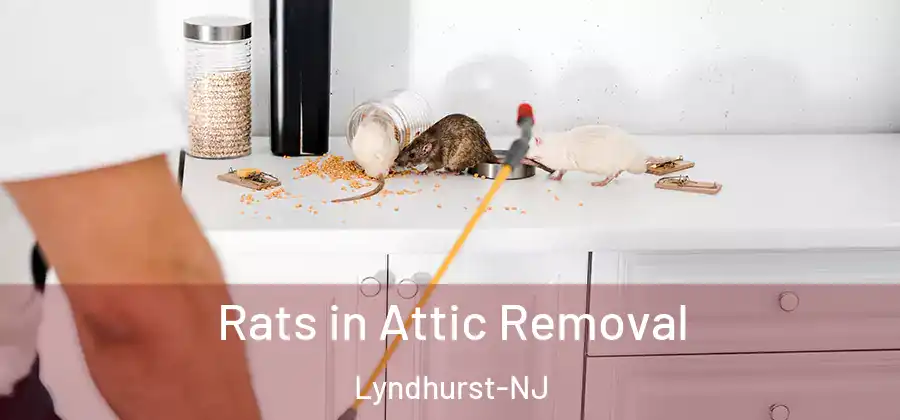 Rats in Attic Removal Lyndhurst-NJ