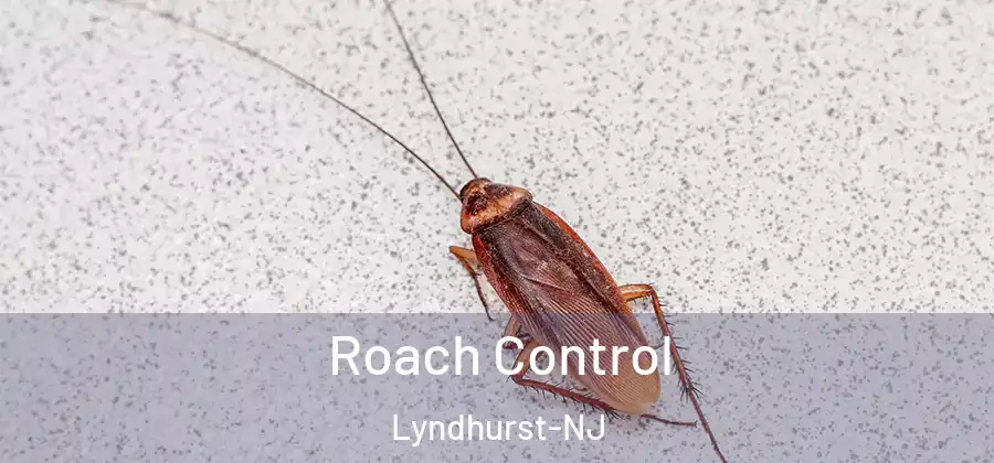 Roach Control Lyndhurst-NJ
