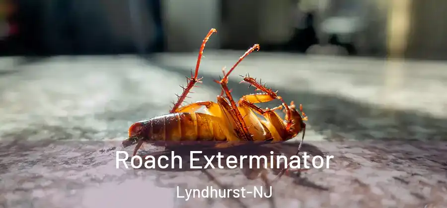Roach Exterminator Lyndhurst-NJ
