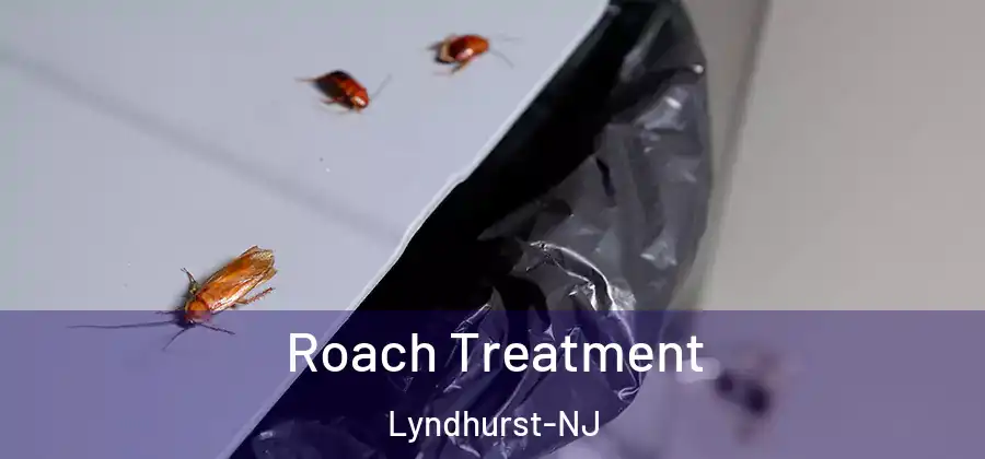 Roach Treatment Lyndhurst-NJ