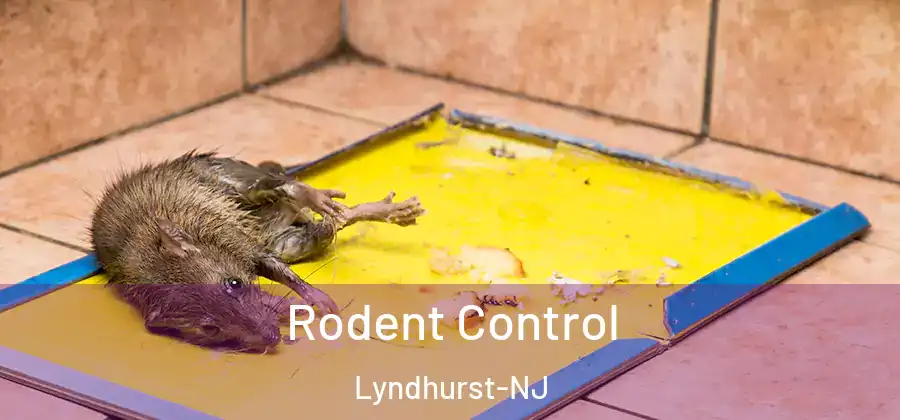 Rodent Control Lyndhurst-NJ