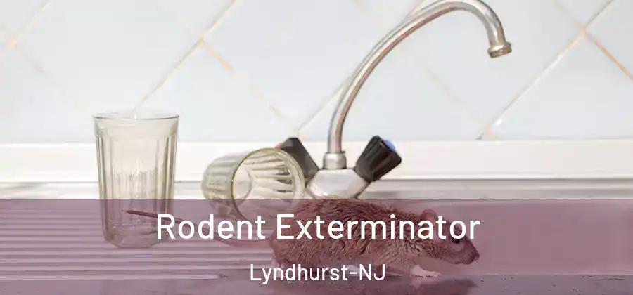 Rodent Exterminator Lyndhurst-NJ