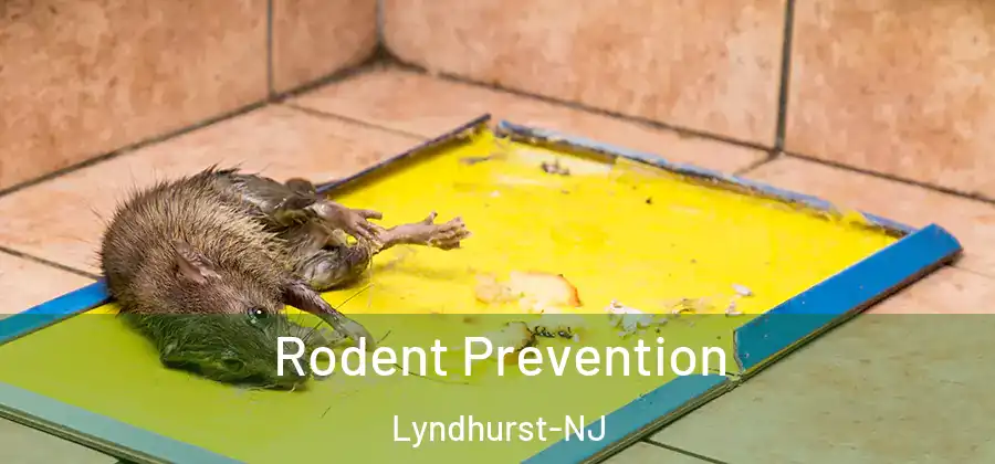 Rodent Prevention Lyndhurst-NJ