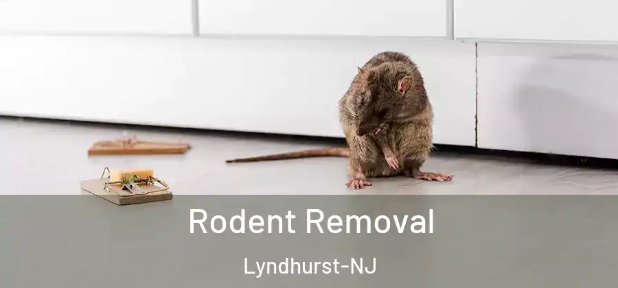 Rodent Removal Lyndhurst-NJ