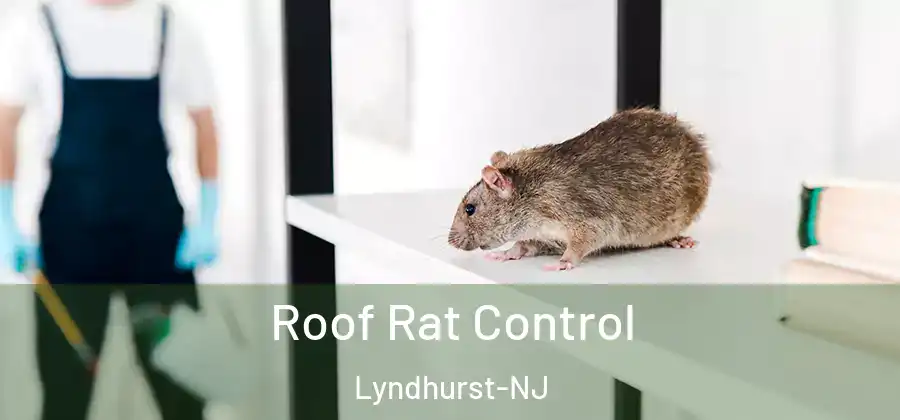 Roof Rat Control Lyndhurst-NJ