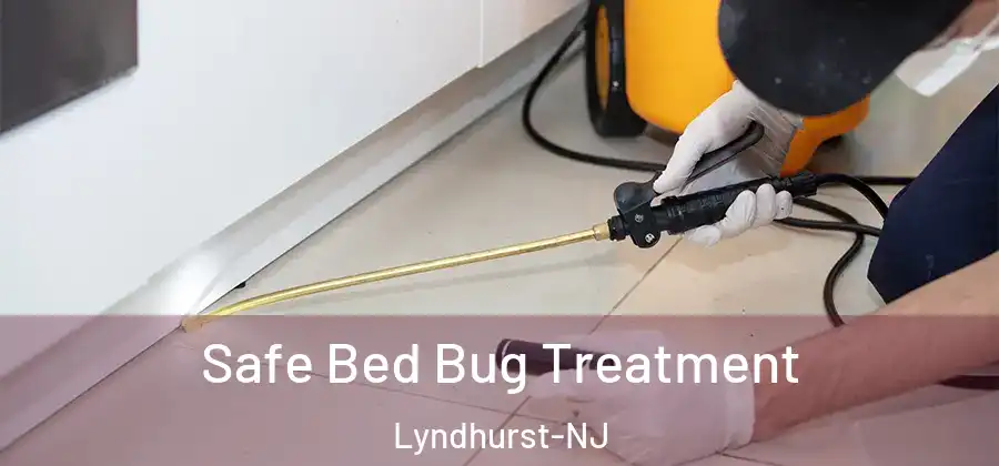  Safe Bed Bug Treatment Lyndhurst-NJ