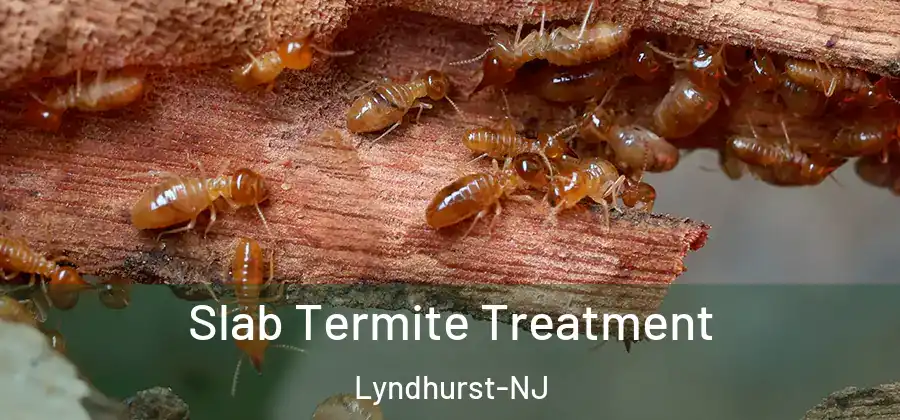 Slab Termite Treatment Lyndhurst-NJ