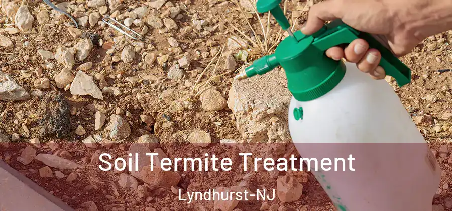 Soil Termite Treatment Lyndhurst-NJ