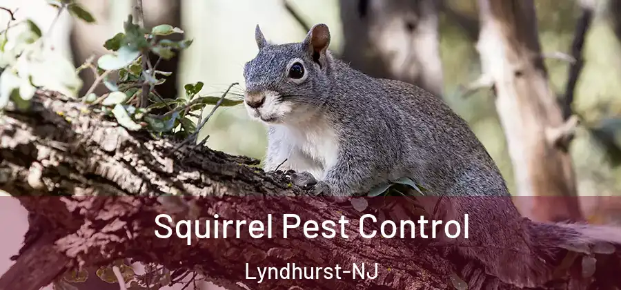 Squirrel Pest Control Lyndhurst-NJ