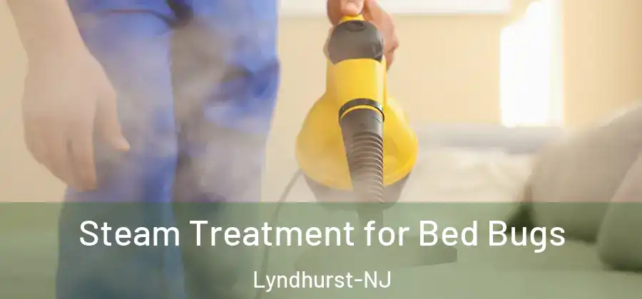 Steam Treatment for Bed Bugs Lyndhurst-NJ