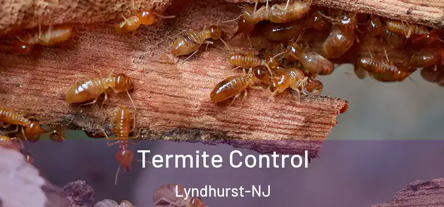 Termite Control Lyndhurst-NJ