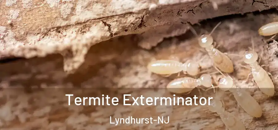 Termite Exterminator Lyndhurst-NJ