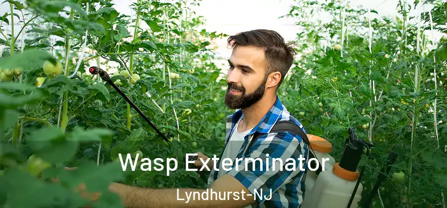  Wasp Exterminator Lyndhurst-NJ