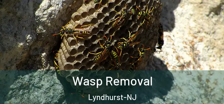  Wasp Removal Lyndhurst-NJ