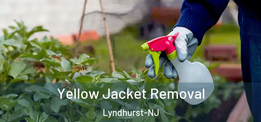  Yellow Jacket Removal Lyndhurst-NJ